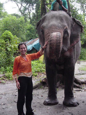 elephant_fo.jpg